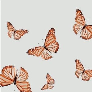 Meet your Posher, Bryleigh